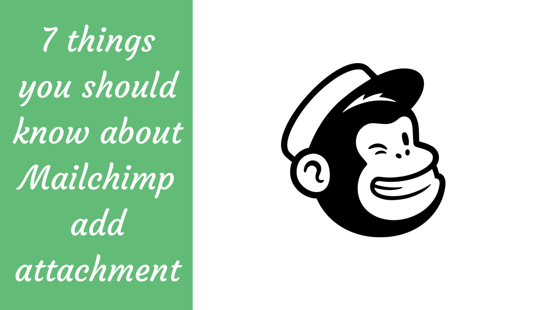 7 Things You Should Know About Mailchimp Add Attachment